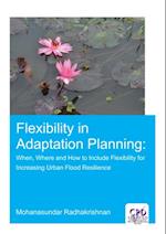 Flexibility in Adaptation Planning