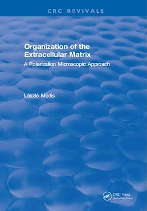 Organization of the Extracellular Matrix