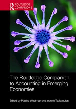 Routledge Companion to Accounting in Emerging Economies