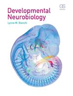 Developmental Neurobiology