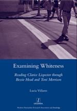 Examining Whiteness