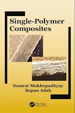 Single-Polymer Composites