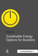 Sustainable Energy Options for Business