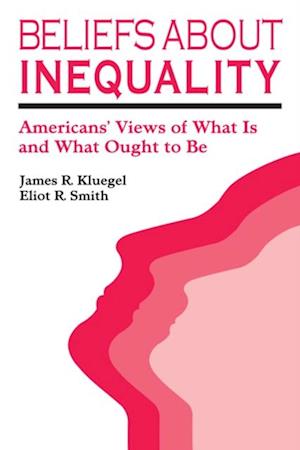 Beliefs about Inequality