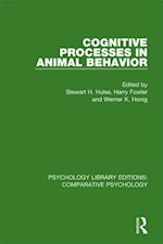 Cognitive Processes in Animal Behavior
