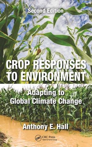 Crop Responses to Environment