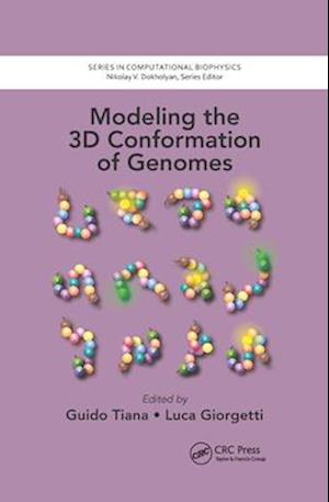 Modeling the 3D Conformation of Genomes