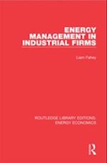 Energy Management in Industrial Firms