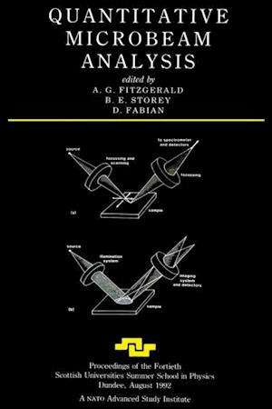 Quantitative Microbeam Analysis