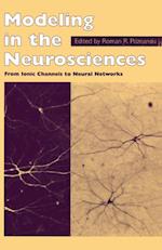 Modeling in the Neurosciences
