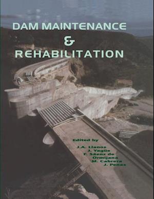 Dam Maintenance and Rehabilitation