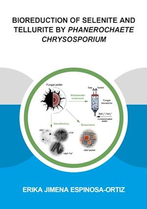 Bioreduction of Selenite and Tellurite by Phanerochaete Chrysosporium