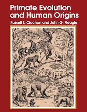 Primate Evolution and Human Origins