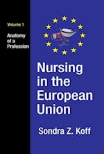 Nursing in the European Union