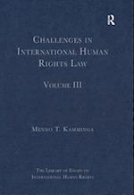 Challenges in International Human Rights Law