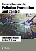 Chemical Processes for Pollution Prevention and Control