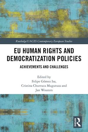 EU Human Rights and Democratization Policies