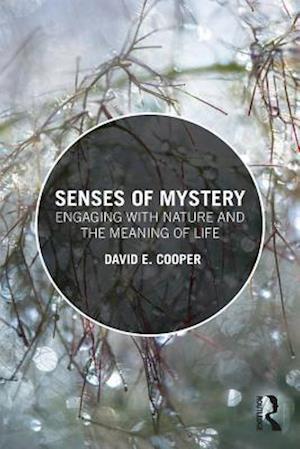 Senses of Mystery