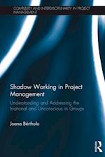 Shadow Working in Project Management