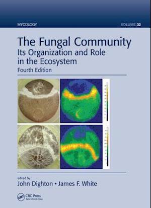 The Fungal Community