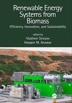 Renewable Energy Systems from Biomass