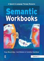 Semantic Workbooks