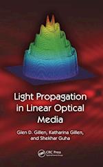 Light Propagation in Linear Optical Media
