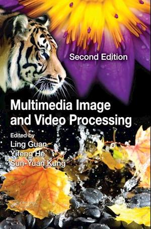 Multimedia Image and Video Processing