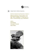 Resilience Engineering Perspectives, Volume 1