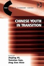 Chinese Youth in Transition