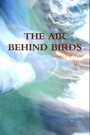 The Air Behind Birds