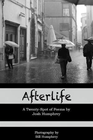 Afterlife