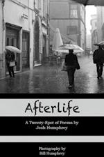 Afterlife