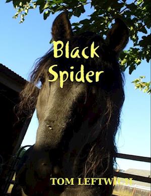 Black Spider