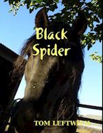 Black Spider