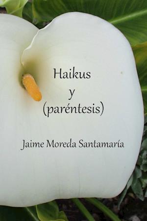 Haikus y (paréntesis)