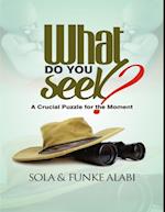 What Do You Seek? : A Crucial Puzzle for the Moment