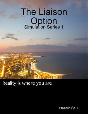 Liaison Option: Simulation Series 1