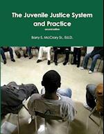 Juvenile Justice System and Practice 