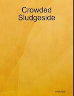 Crowded Sludgeside