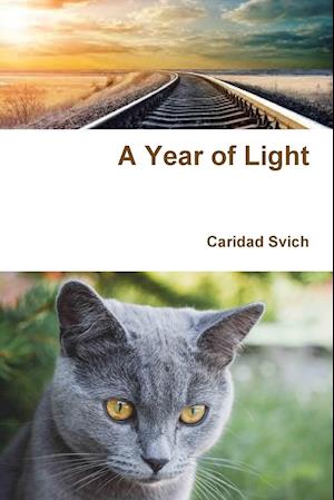 A Year of Light