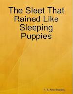 Sleet That Rained Like Sleeping Puppies