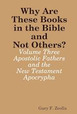 Why Are These Books in the Bible and Not Others? - Volume Three - The Apostolic Fathers and the New Testament Apocrypha