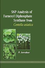 SNP ANALYSIS OF FARNESYL DIPHOSPHATE SYNTHASE FROM CENTELLA ASIATICA 