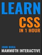 Learn Css In 1 Hour