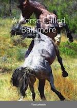 Horse Called Baltimore