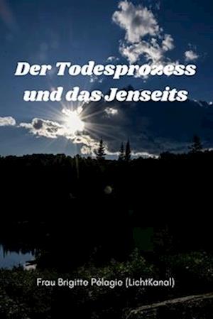 Der Todesprozess und das Jenseits (Paperback)