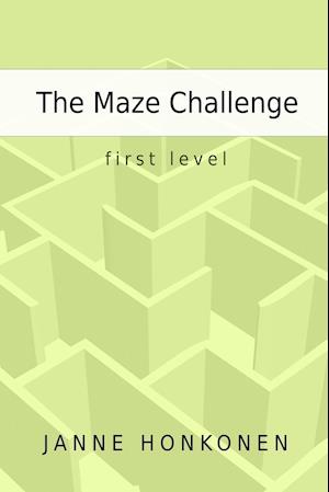 The Maze Challenge - First level