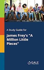 A Study Guide for James Frey's "A Million Little Pieces"