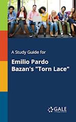 A Study Guide for Emilio Pardo Bazan's "Torn Lace"